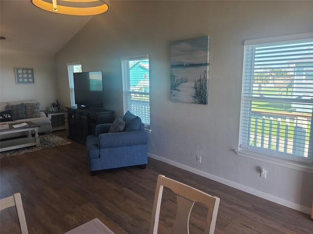 4222 Mason Dr, Galveston, TX 77554 - living room with baseboards, a wealth of natural light, lofted ceiling, and dark wood-style flooring