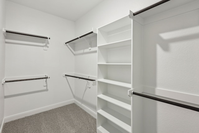 walk in closet featuring carpet
