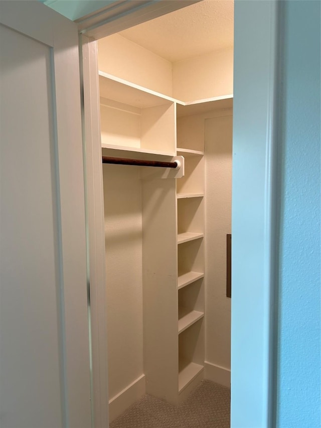 walk in closet with carpet floors