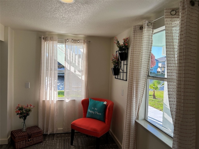 sitting room with baseboards, carpet flooring, and a textured ceiling