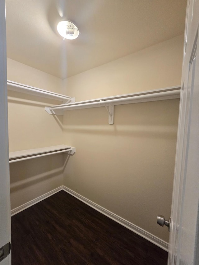 spacious closet with dark wood-type flooring