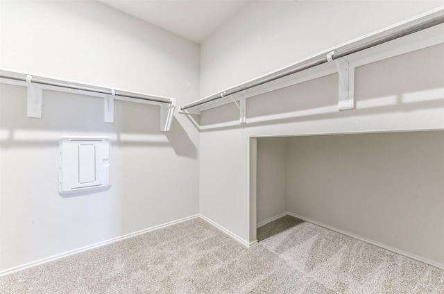 16524 Cascading Pines Ct, Conroe, TX 77302 - spacious closet with carpet and electric panel