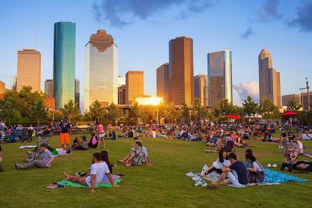 402 Parker St, Houston, TX 77007 - view of home's community featuring a yard and a view of city