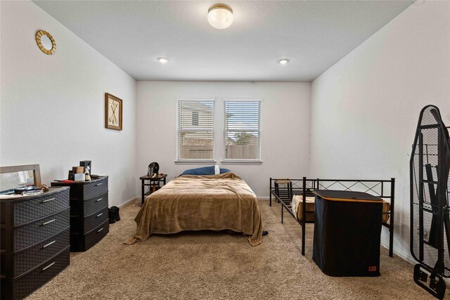16307 Oneawa Dr, Hockley, TX 77447 - photo 8