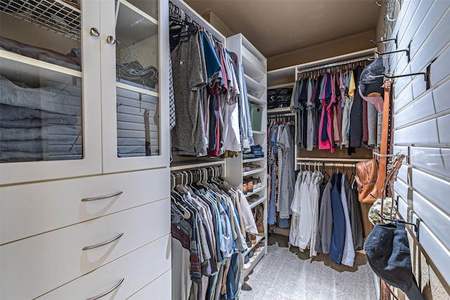 view of spacious closet