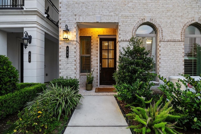 entrance to property with a porch, brick siding, and a balcony
