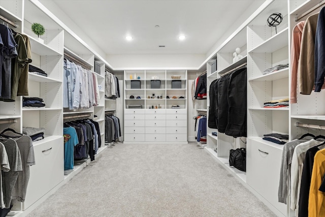 walk in closet with light carpet
