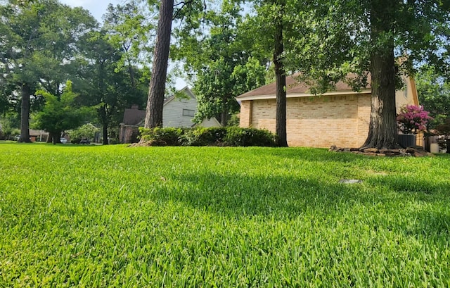 532 S Rivershire Dr, Conroe, TX 77304 - view of grassy yard