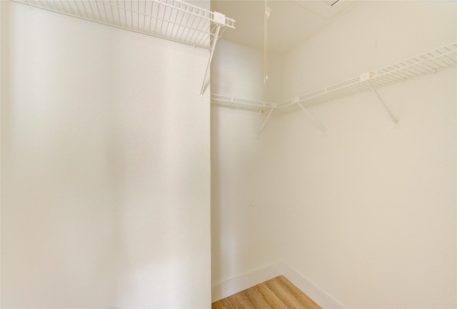 spacious closet with light wood finished floors