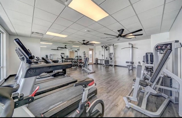 workout area featuring a paneled ceiling, a ceiling fan, and wood finished floors