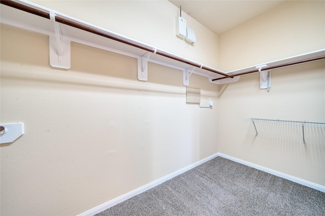 24618 Malca Manor Dr, Katy, TX 77493 - walk in closet featuring carpet