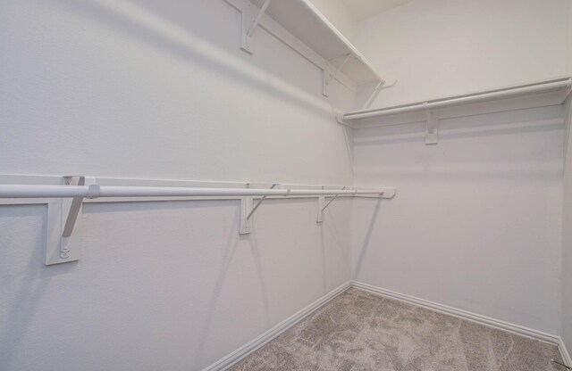 3730 Bach St, Iowa Colony, TX 77583 - walk in closet featuring carpet