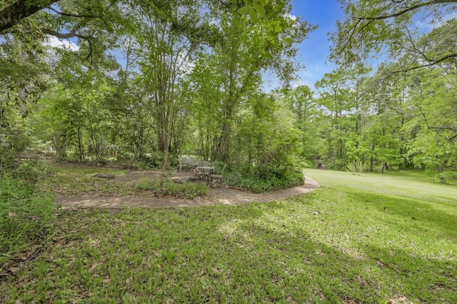 view of yard featuring a view of trees