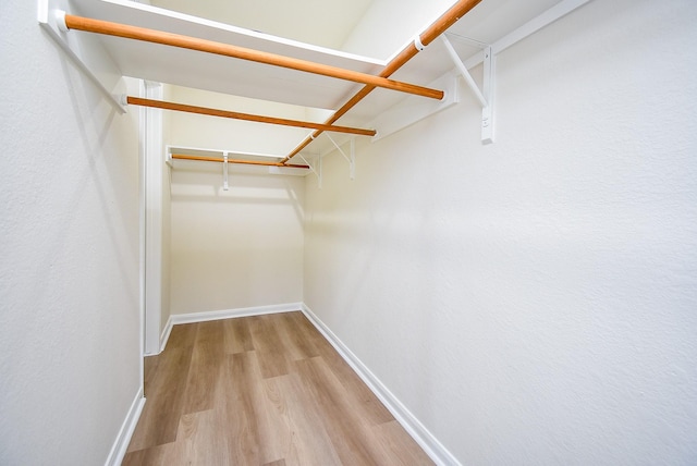 spacious closet featuring light wood-style floors