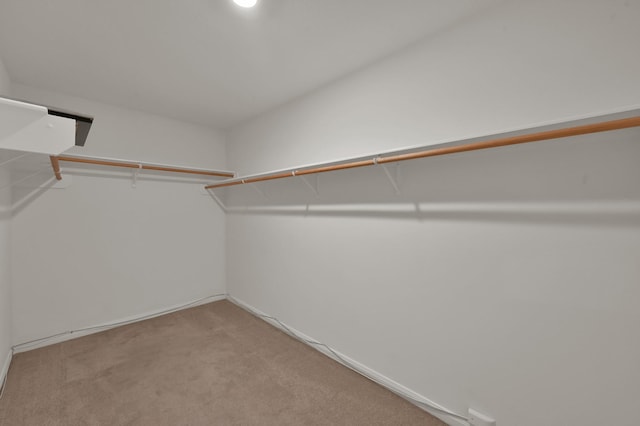 spacious closet featuring light carpet