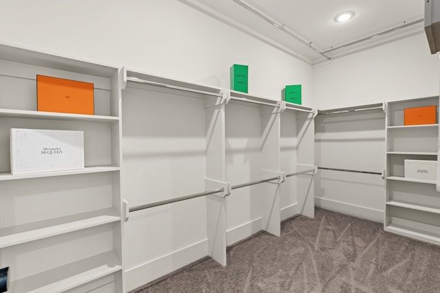 881 Rachel St Unit F, Houston, TX 77091 - spacious closet featuring carpet floors