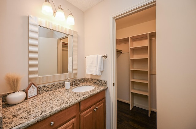 bathroom featuring vanity, wood finished floors, and a spacious closet
