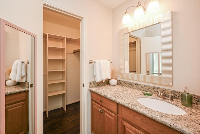 bathroom featuring vanity, wood finished floors, and a spacious closet
