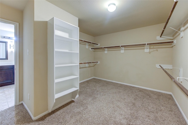 walk in closet with carpet flooring