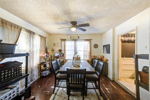 dining space with dark wood-style flooring, ornamental molding, a textured ceiling, and ceiling fan