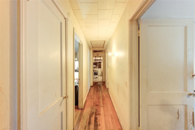 hallway featuring light wood-style floors and attic access