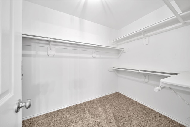 spacious closet with carpet floors