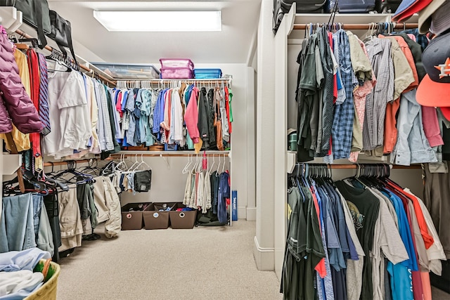 walk in closet with carpet
