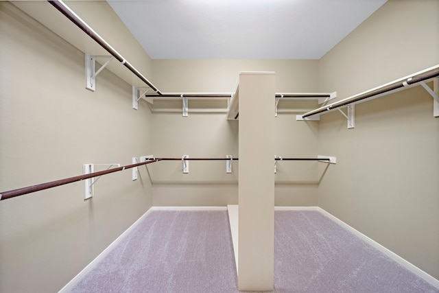 walk in closet with carpet flooring
