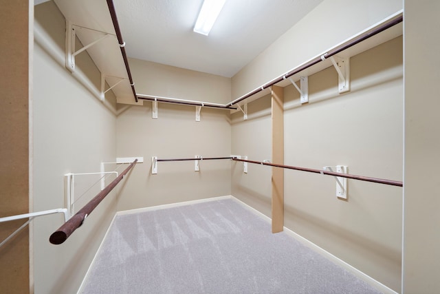 11014 Via Capri Ct, Richmond, TX 77406 - spacious closet featuring carpet floors