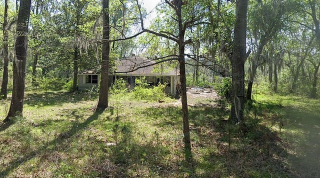 view of local wilderness