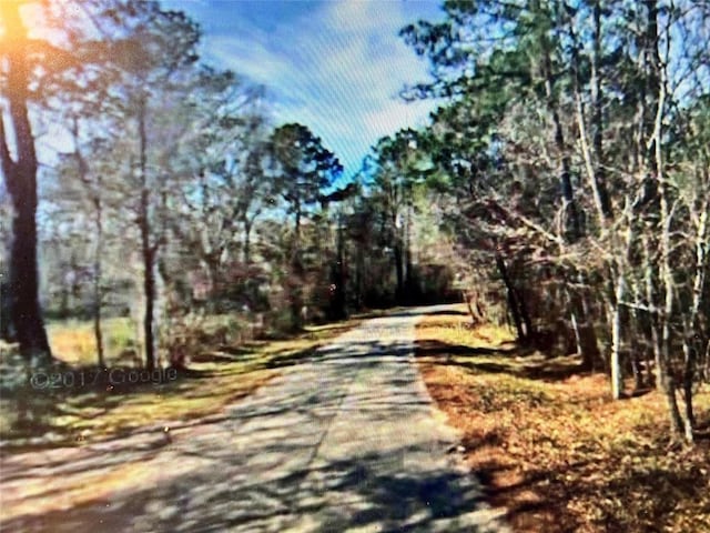 view of street with a forest view