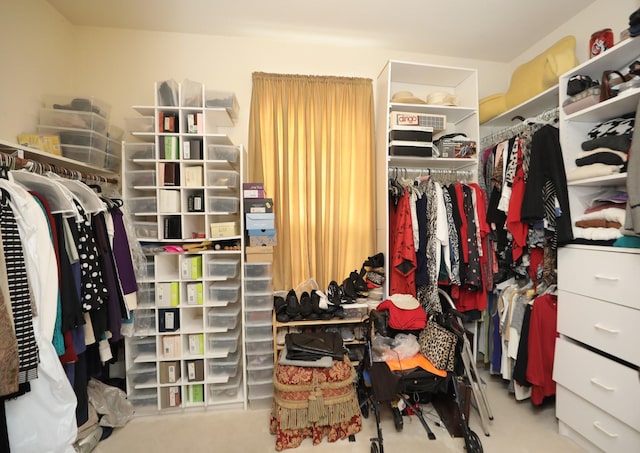 12219 Renaissance Ln, Houston, TX 77071 - view of spacious closet