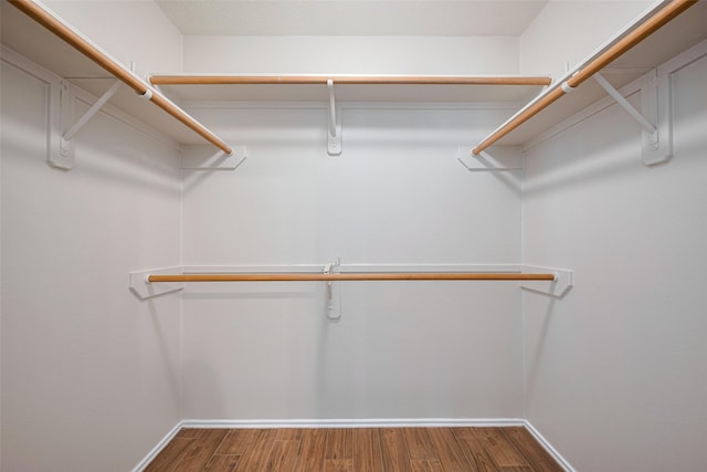 spacious closet featuring wood finished floors