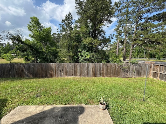 view of yard featuring a fenced backyard