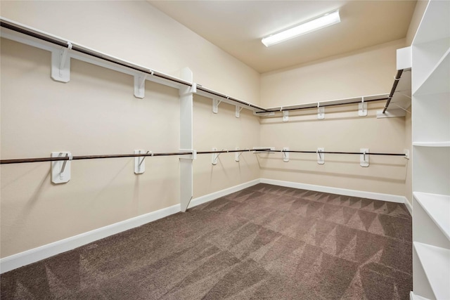 25034 Jennifer Heights Ct, Spring, TX 77389 - walk in closet featuring dark colored carpet