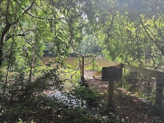 view of local wilderness with a wooded view