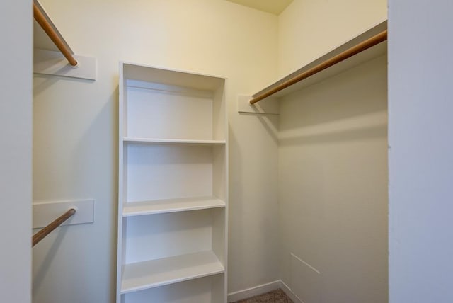 3500 Tangle Brush Dr Unit 7, The Woodlands, TX 77381 - view of walk in closet