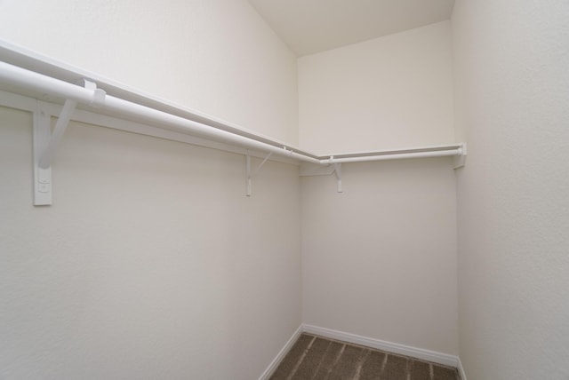 walk in closet featuring dark colored carpet