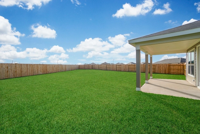 view of yard featuring a fenced backyard and a patio area