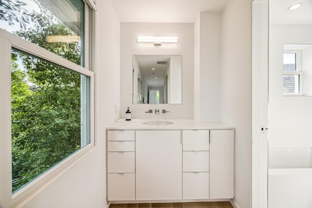 bathroom featuring visible vents, plenty of natural light, and vanity