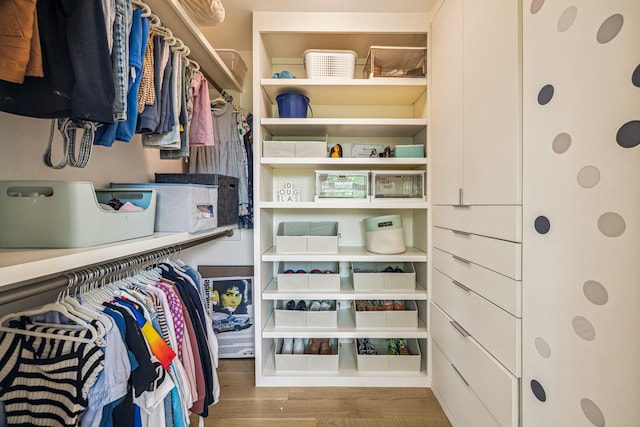 spacious closet with wood finished floors