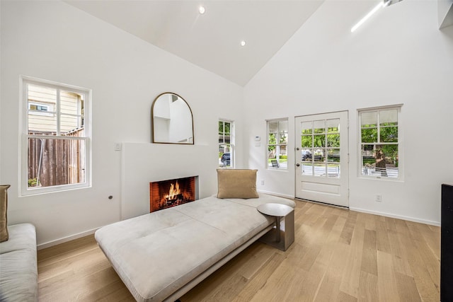 interior space with high vaulted ceiling, a lit fireplace, a healthy amount of sunlight, and light wood-type flooring