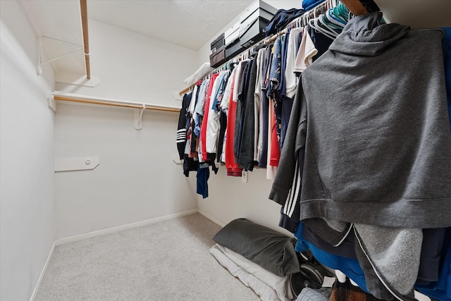 walk in closet featuring carpet flooring