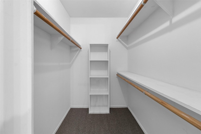 walk in closet featuring dark carpet
