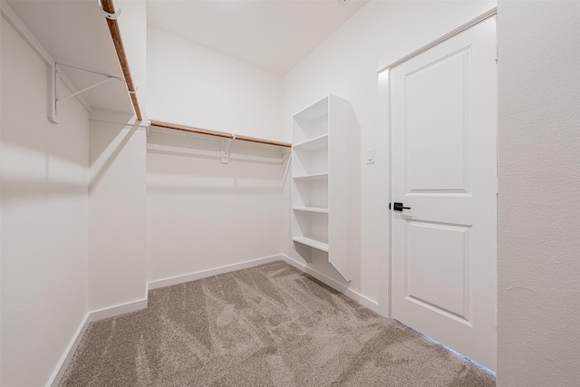 spacious closet featuring carpet floors
