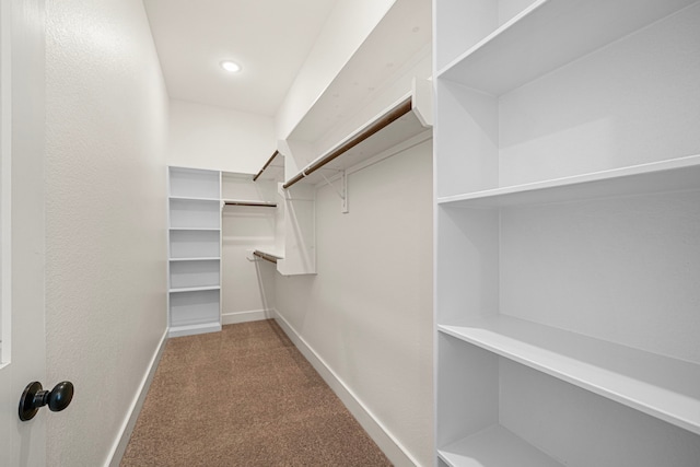 walk in closet featuring carpet