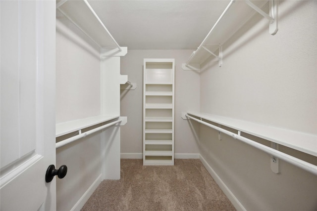 walk in closet with carpet flooring