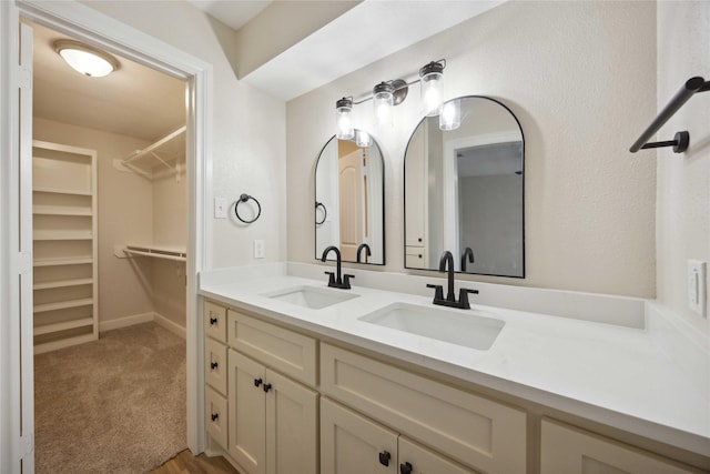 bathroom featuring double vanity, a spacious closet, and a sink