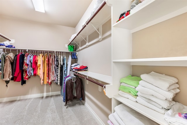 walk in closet featuring carpet flooring