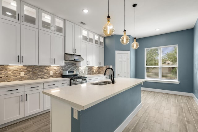 4610 Cashel Glen Dr, Houston, TX 77069 - kitchen featuring stainless steel range with gas stovetop, wood finish floors, a sink, baseboards, and under cabinet range hood